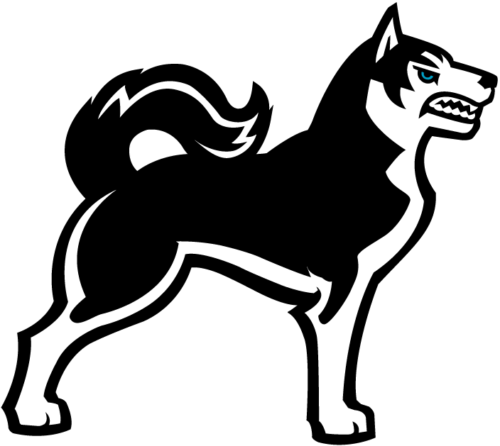 Northeastern Huskies 2001-2006 Alternate Logo v3 diy DTF decal sticker